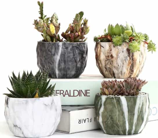 Ceramic Flower Pot, Cactus Planter Pots